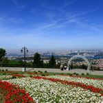 Gallery Thumbnail 10