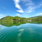 Gallery Thumbnail 15