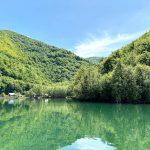 Gallery Thumbnail 14