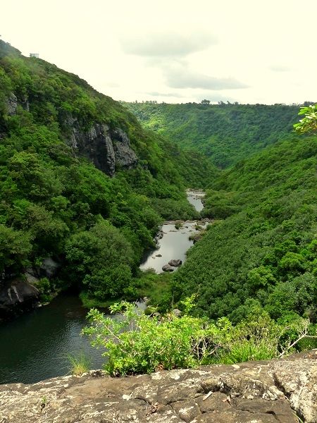 حديقة بلاك ريفر جورجيس الوطنية في موريشيوس مع غابات كثيفة ومناظر طبيعية