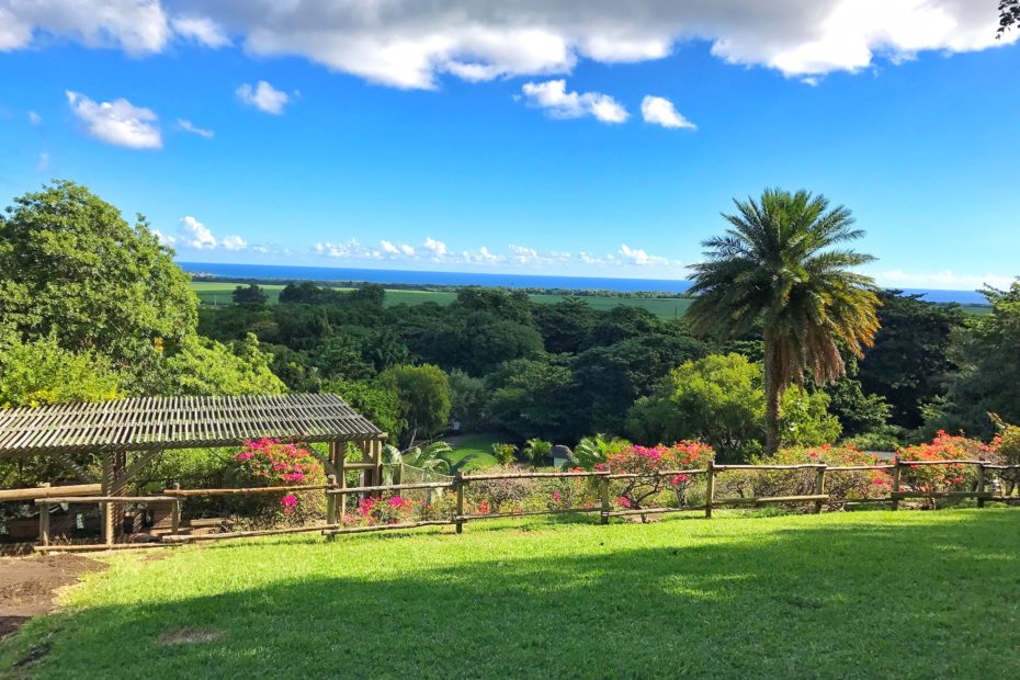 عالم المغامرات كاسيلا في موريشيوس مع أنشطة ترفيهية وطبيعة مفتوحة